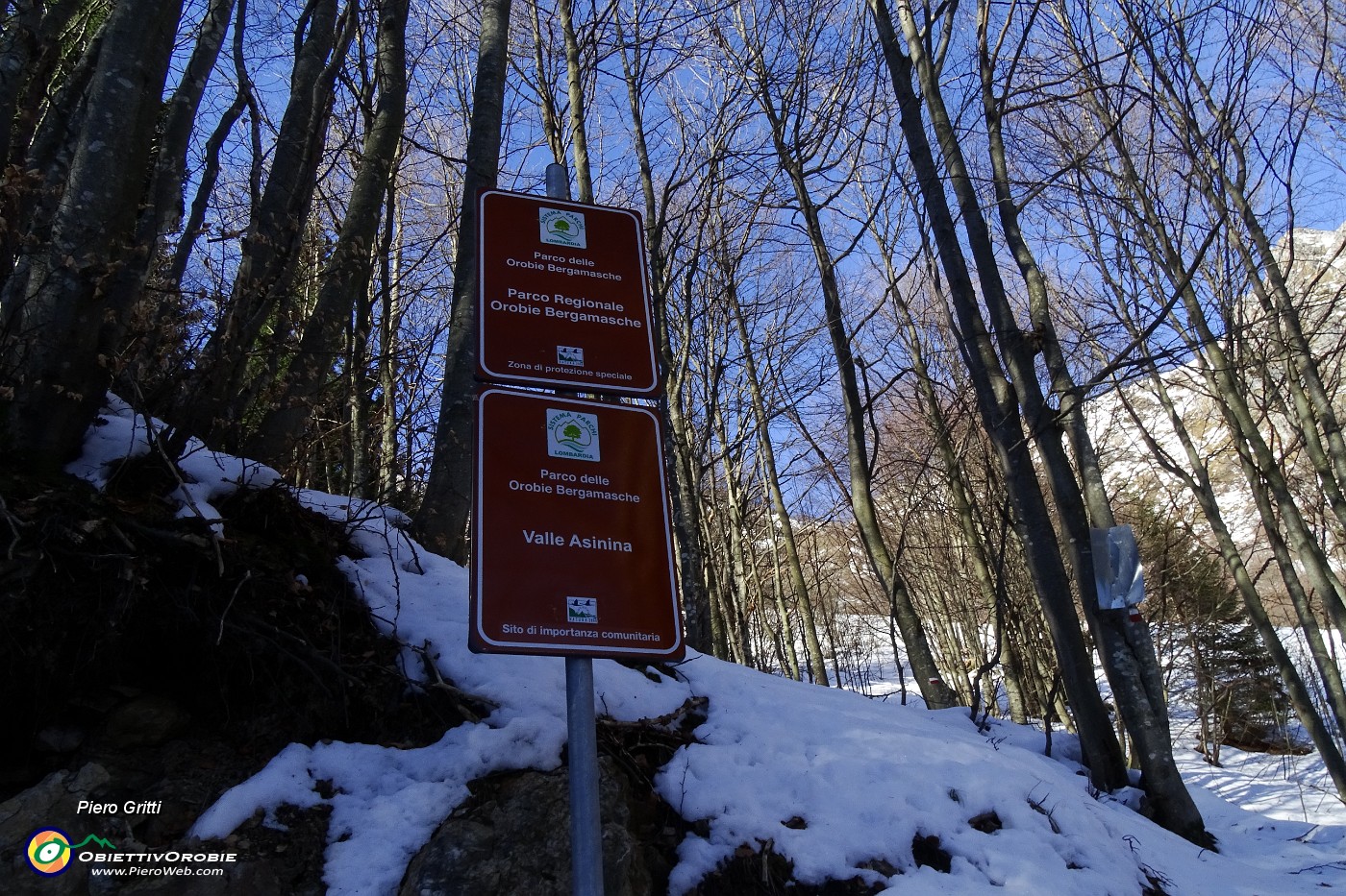 15 Siamo nel Parco delle  Orobie Bergamasche.JPG